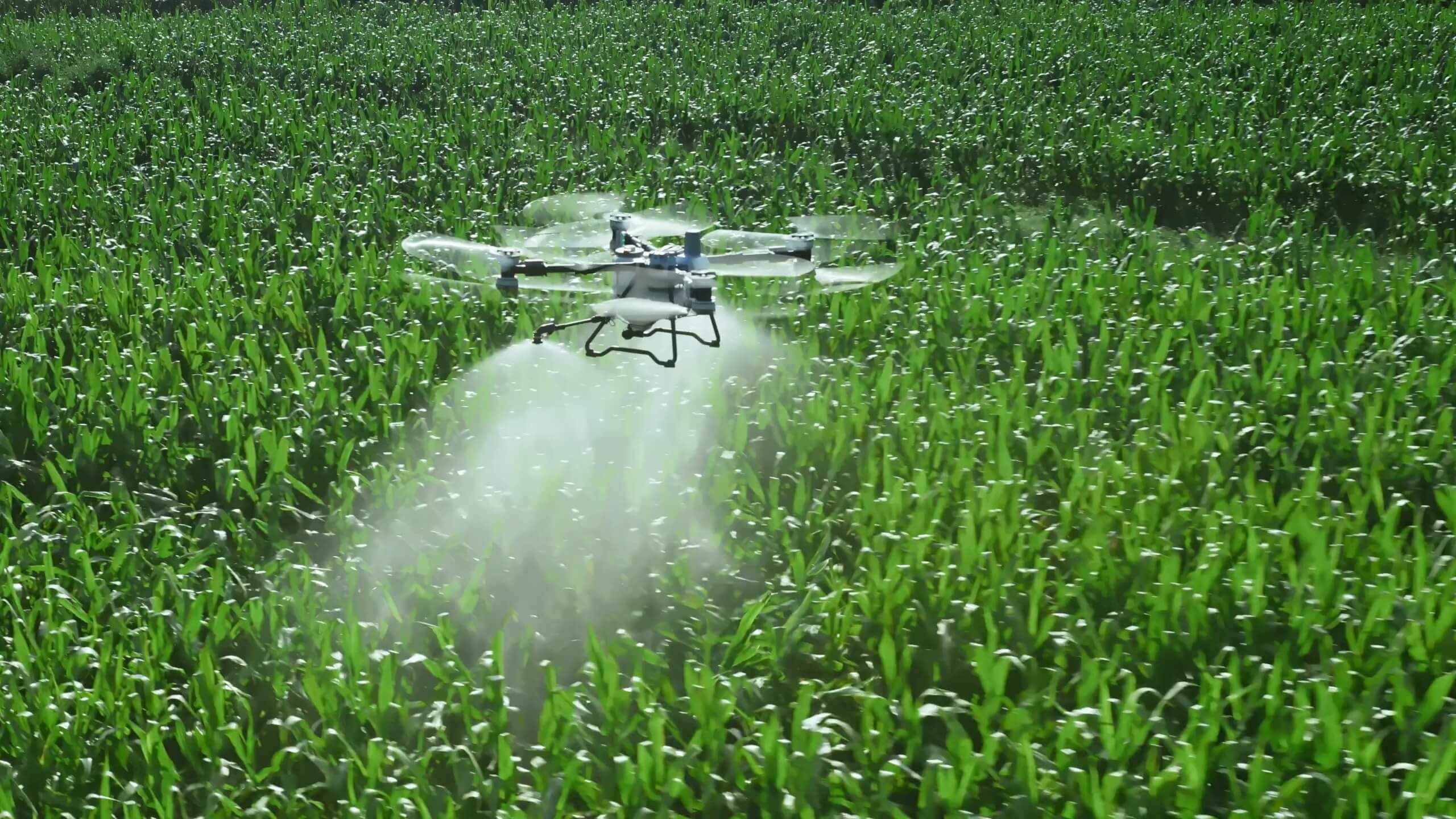Drone en application agricole